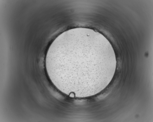 X0000100390450200807031953