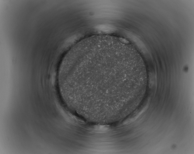 X0000100390451200807031953