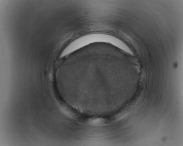 X0000100390452200807031953