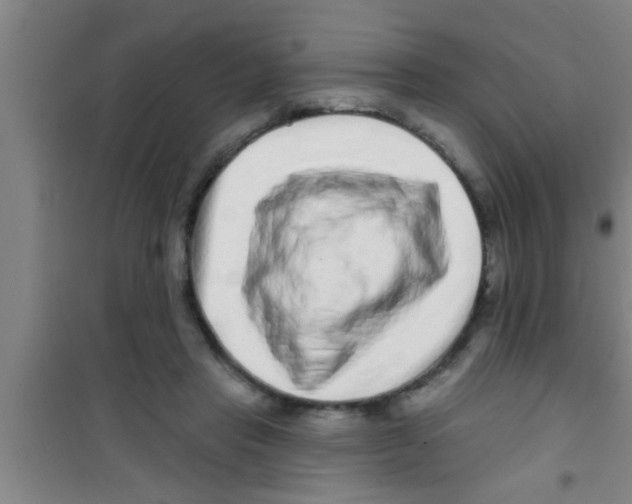 X0000100390453200807031953