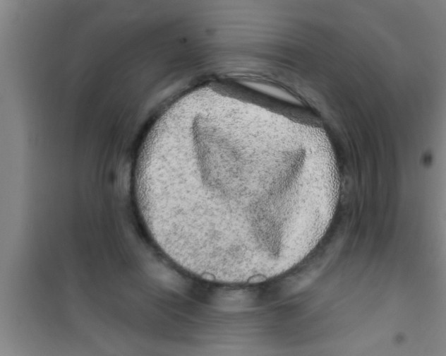 X0000100390454200807031953