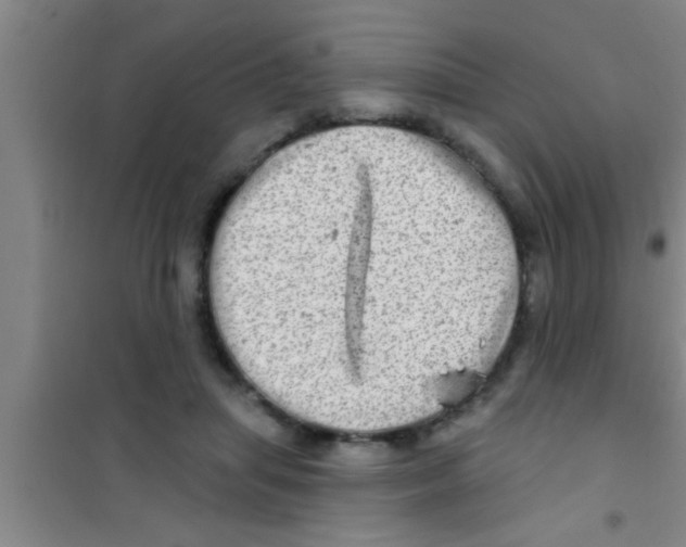 X0000100390455200807031953