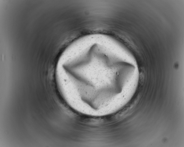 X0000100390458200807031953