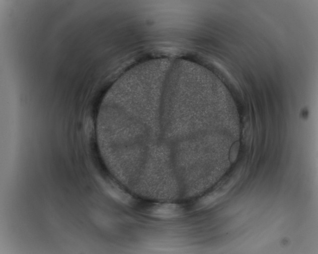 X0000100390459200807031953