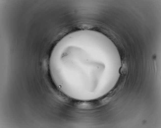 X0000100390460200807031953