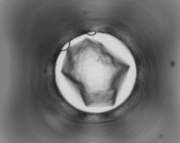 X0000100390461200807031953