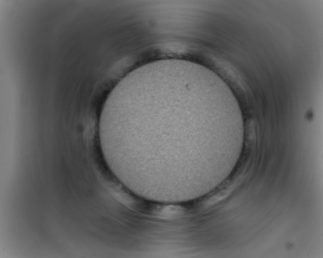 X0000100390463200807031953