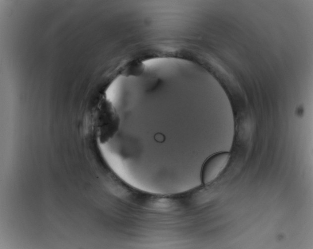 X0000100390467200807031953