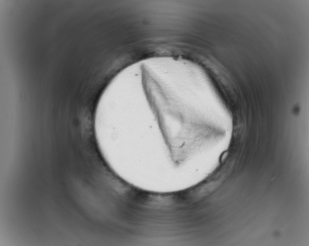 X0000100390469200807031954