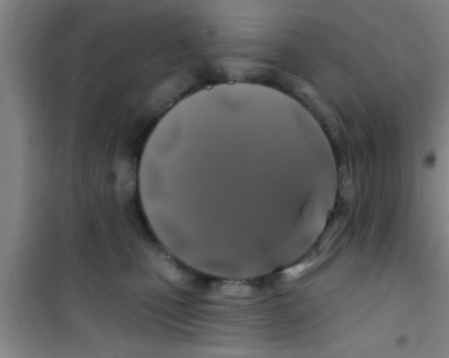 X0000100390471200807031954