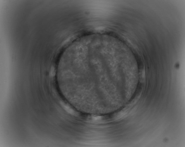 X0000100390472200807031954