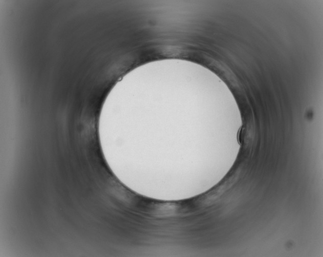 X0000100390473200807031954