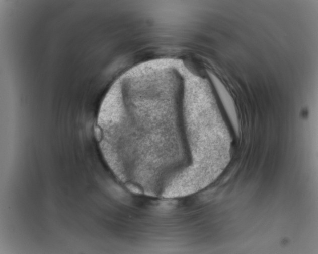 X0000100390474200807031954