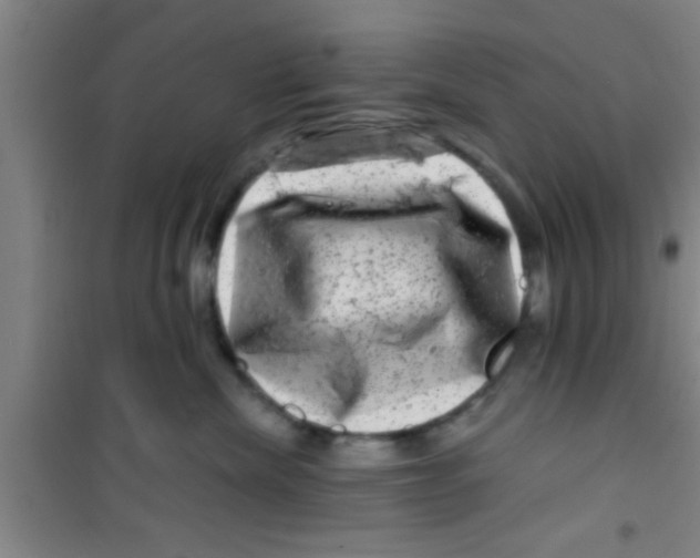 X0000100390476200807031954