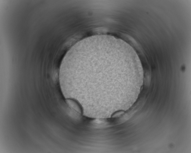 X0000100390477200807031954