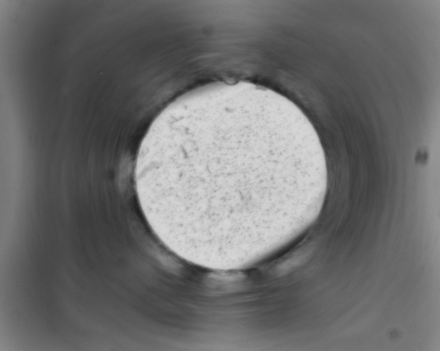 X0000100390480200807031954