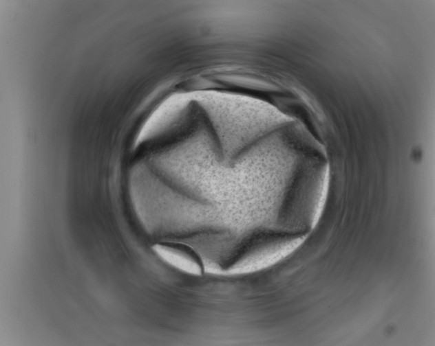 X0000100390482200807031953