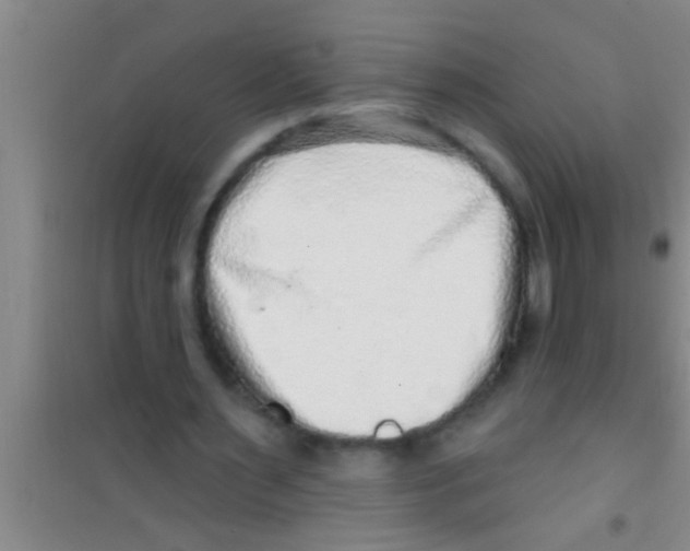 X0000100390483200807031953