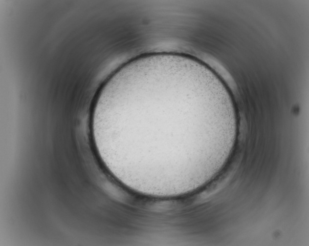 X0000100390485200807031953