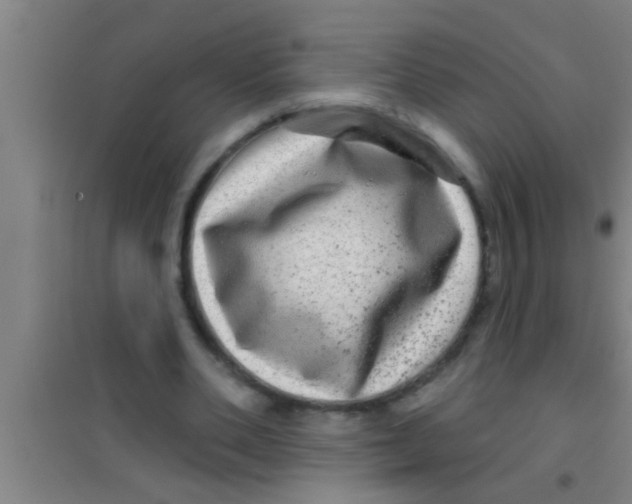 X0000100390486200807031953