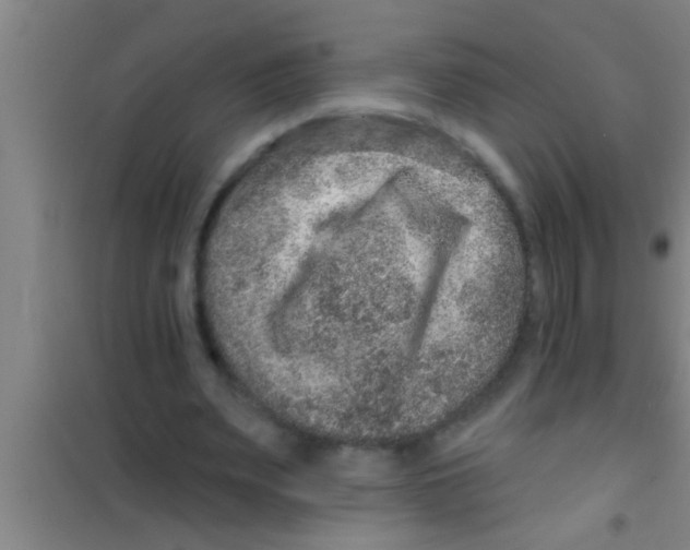 X0000100390487200807031953