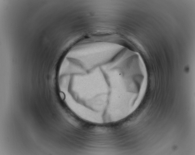 X0000100390490200807031953