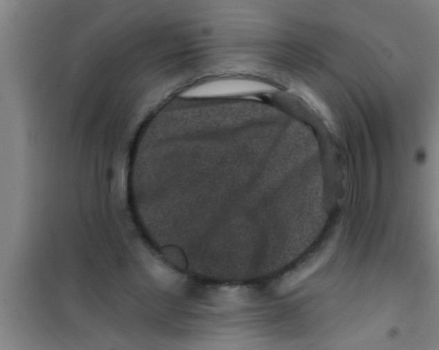 X0000100390493200807031953