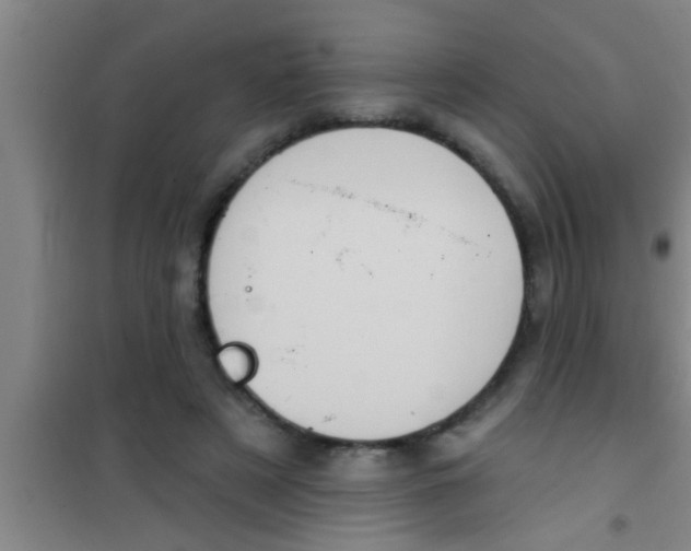 X0000100390497200807031953