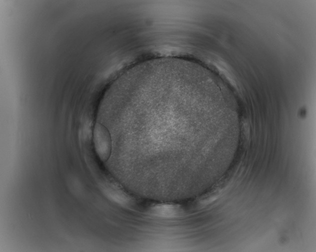 X0000100390499200807031953