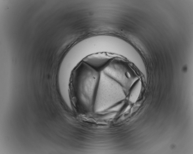 X0000100390501200807031953