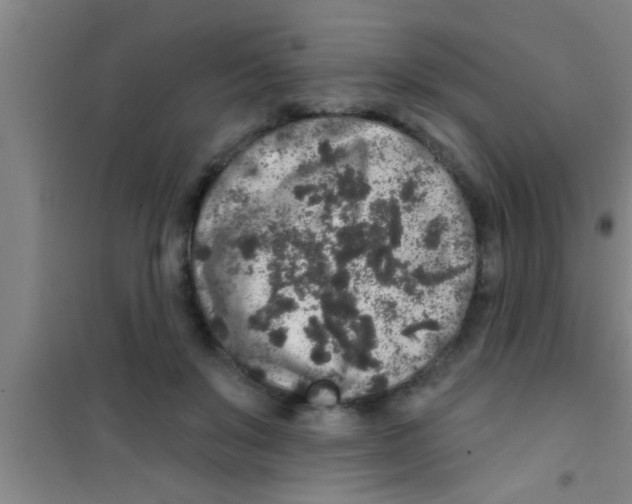 X0000100390503200807031953