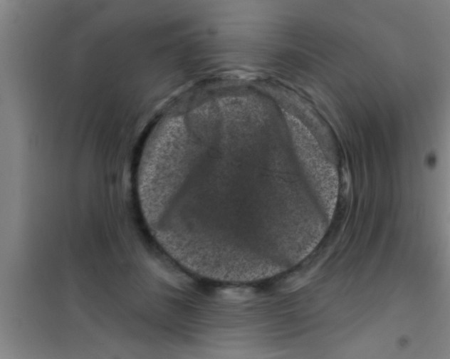 X0000100390508200807031952