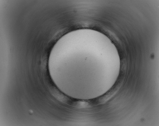 X0000100390509200807031952