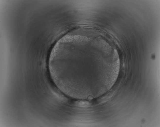 X0000100390512200807031952