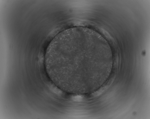 X0000100390513200807031952