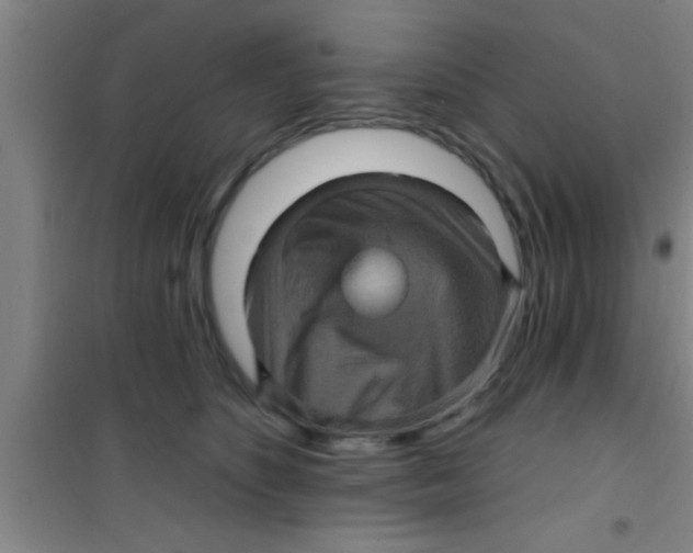 X0000100390516200807031952