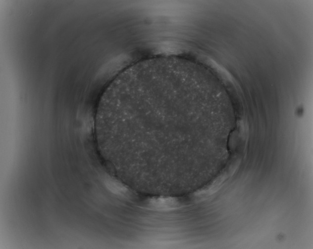 X0000100390517200807031952