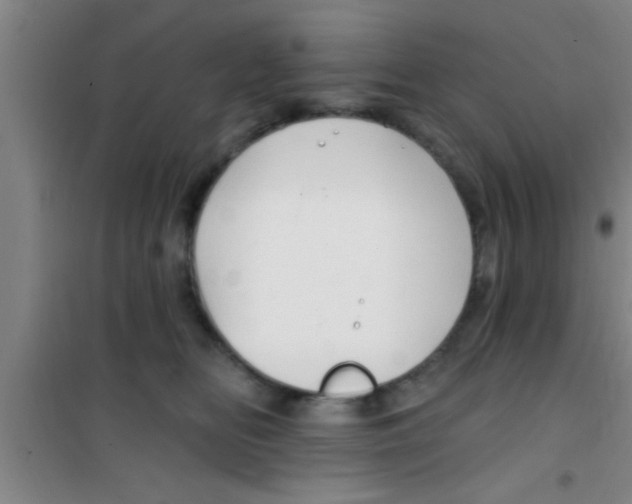 X0000100390518200807031952