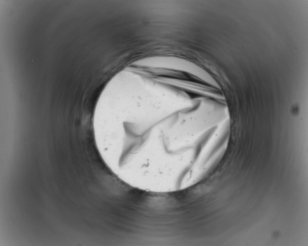 X0000100390521200807031952