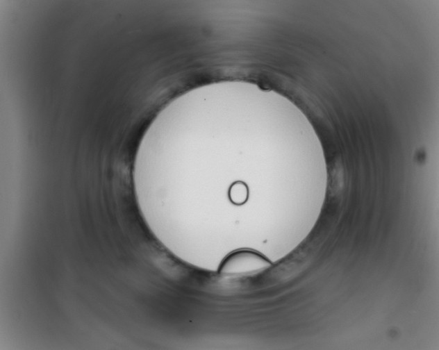 X0000100390522200807031952