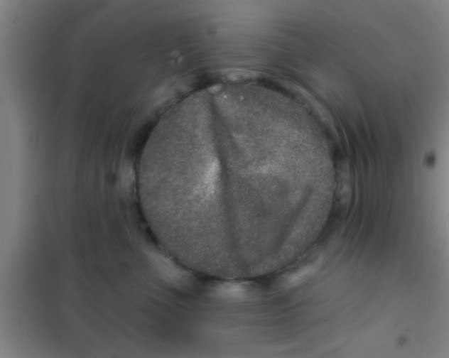 X0000100390523200807031952