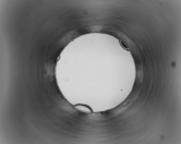 X0000100390525200807031952