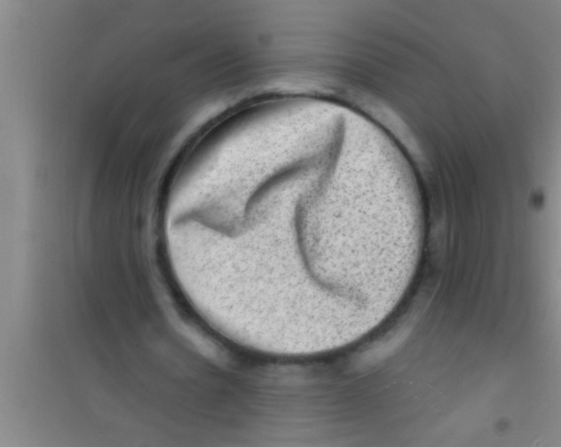 X0000100390530200807031952