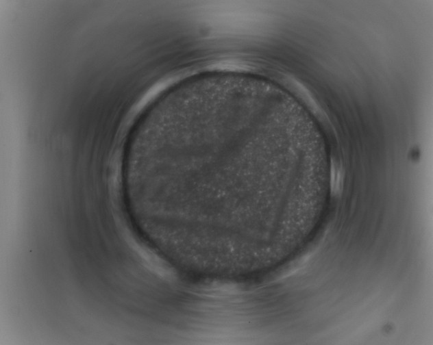 X0000100390531200807031952