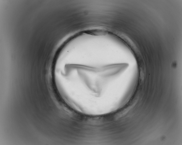 X0000100390532200807031952