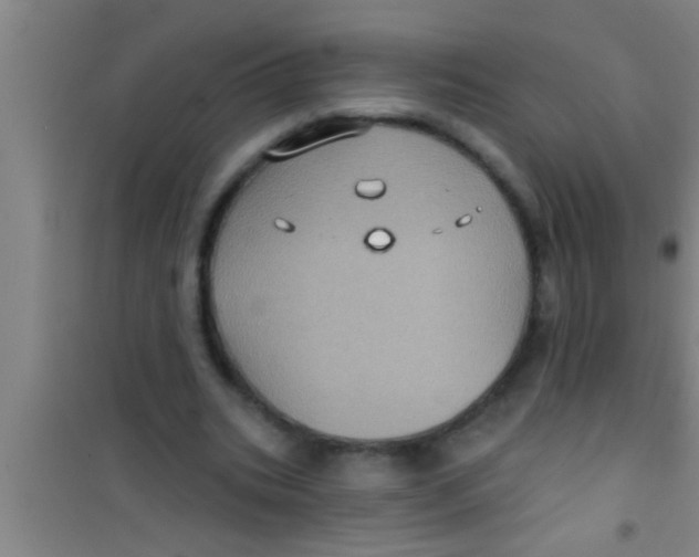 X0000100390535200807031952