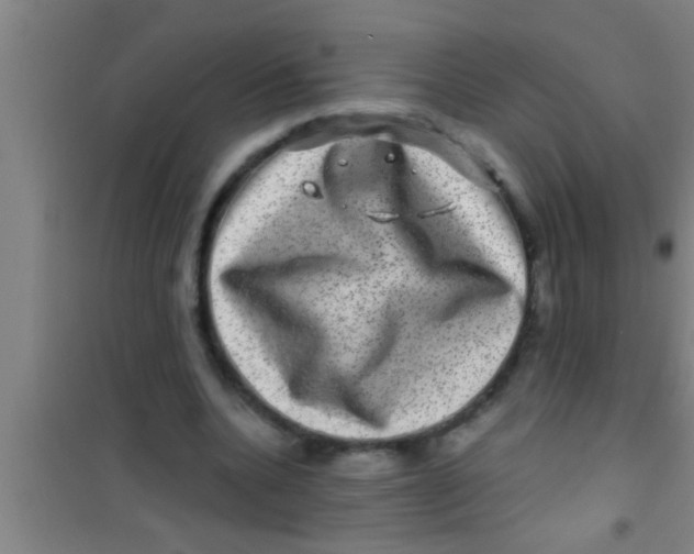 X0000100390536200807031952