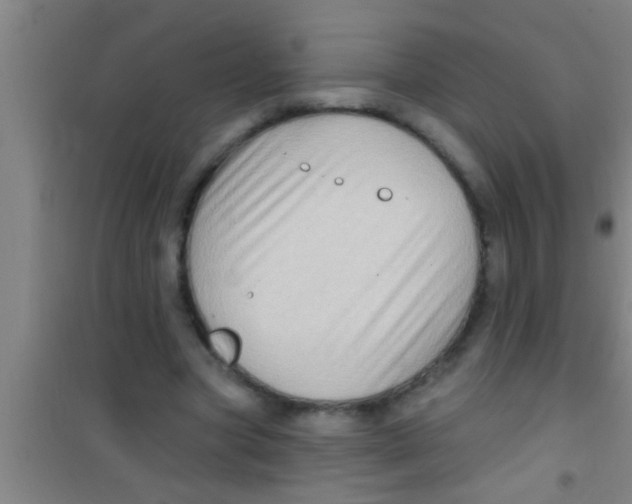 X0000100390537200807031952