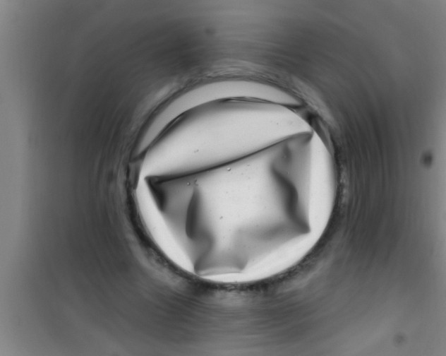 X0000100390538200807031952