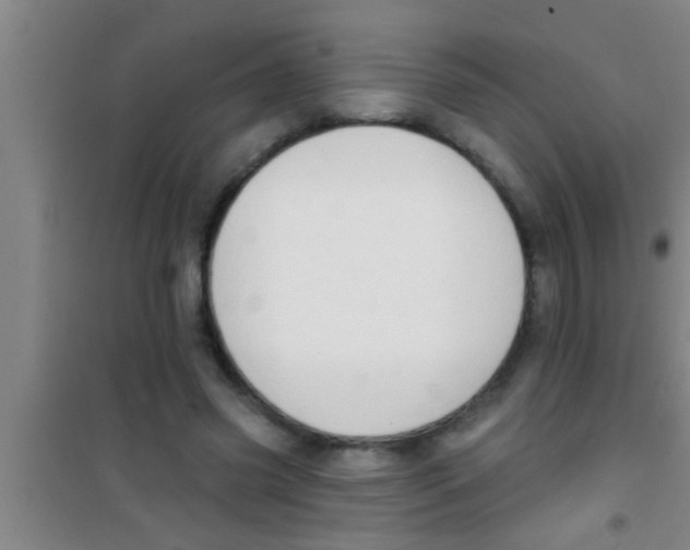 X0000100390541200807031952